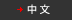 中文